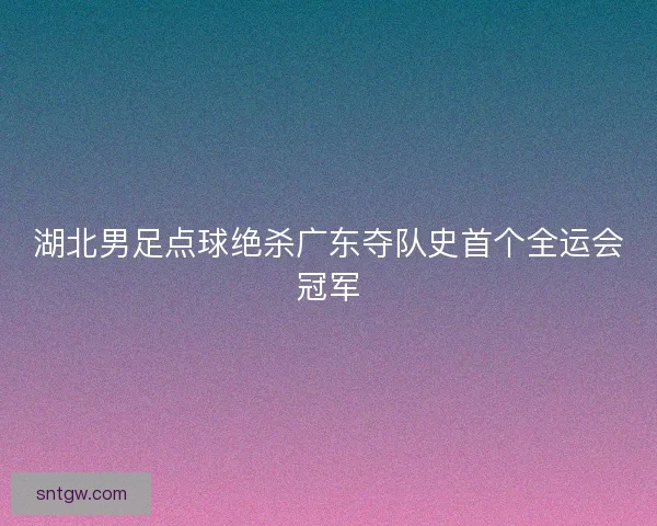 湖北男足点球绝杀广东夺队史首个全运会冠军